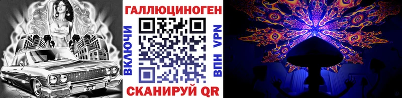 Псилоцибиновые грибы Cubensis Нюрба