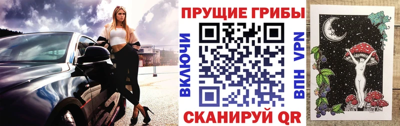 магазин    Нюрба  дарк нет формула  Галлюциногенные грибы прущие грибы 